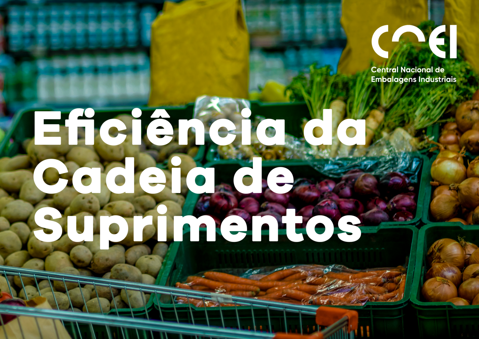 Eficiência da Cadeia de Suprimentos_